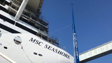 MSC Seashore