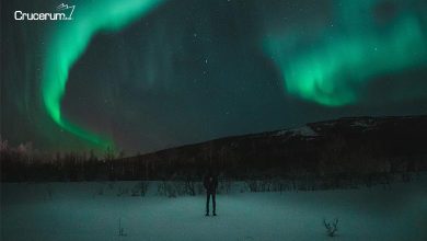 cielo aurora boreal noche crucero fiordos noruegos crucerum personas observando